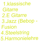 1.klassische Gitarre 2.E Gitarre 3.Jazz (Bebop -Fusion 4.Steelstring 5.Harmonielehre